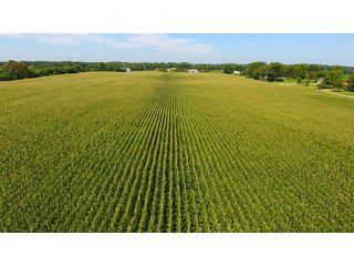Property photo 6 - LAND AUCTION - 75.2+/- ACRES OFFERED IN 7 TRACTS IN ST. JOSEPH CO., INDIANA